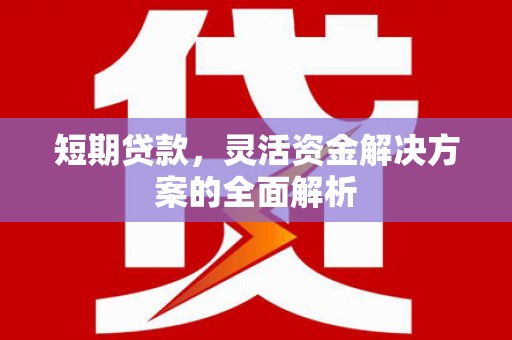 南宁短期贷款，灵活资金解决方案的全面解析