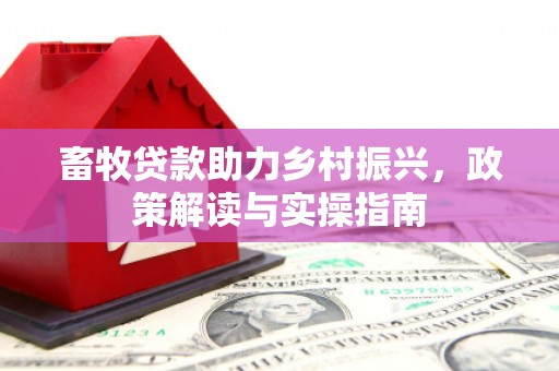 南宁畜牧贷款助力乡村振兴，政策解读与实操指南