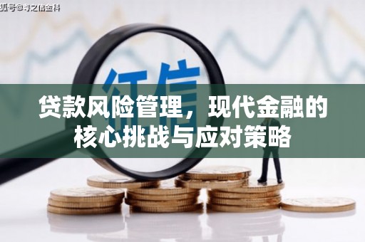 南宁贷款风险管理，现代金融的核心挑战与应对策略