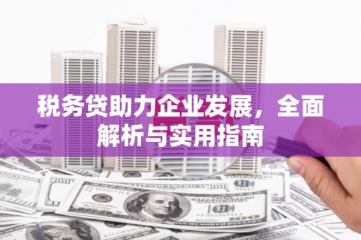 南宁税务贷助力企业发展，全面解析与实用指南
