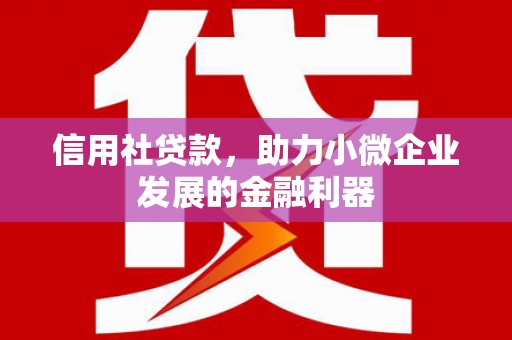 南宁信用社贷款，助力小微企业发展的金融利器