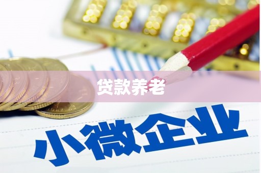南宁贷款养老