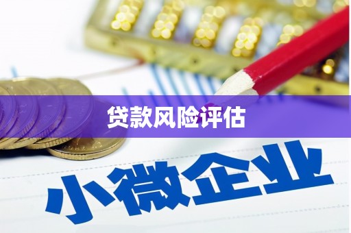 南宁贷款风险评估