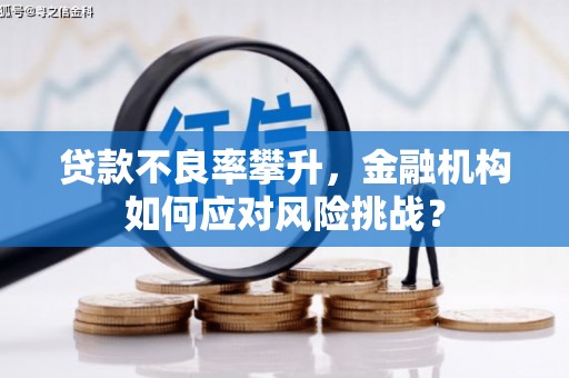 南宁贷款不良率攀升，金融机构如何应对风险挑战？