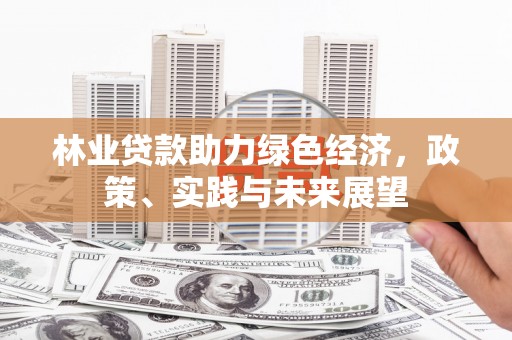南宁林业贷款助力绿色经济，政策、实践与未来展望