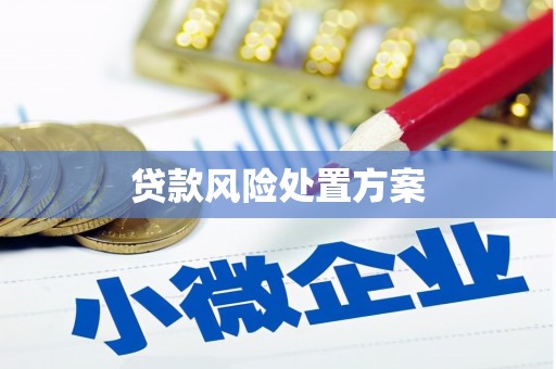 南宁贷款风险处置方案