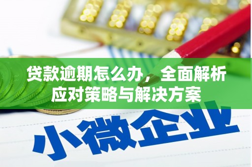 南宁贷款逾期怎么办，全面解析应对策略与解决方案