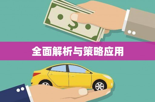 南宁全面解析与策略应用