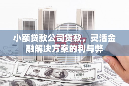 南宁小额贷款公司贷款，灵活金融解决方案的利与弊