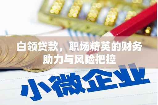 南宁白领贷款，职场精英的财务助力与风险把控